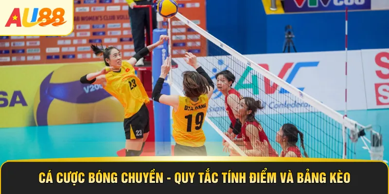 Cá Cược Bóng Chuyền - Quy Tắc Tính Điểm Và Bảng Kèo