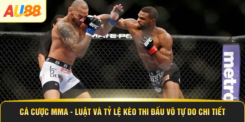 Cá Cược MMA - Luật Và Tỷ Lệ Kèo Thi Đấu Võ Tự Do Chi Tiết
