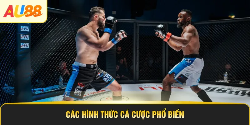 Các hình thức cá cược phổ biến