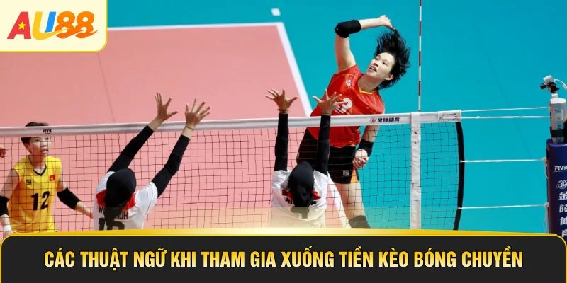 Các thuật ngữ khi tham gia xuống tiền kèo bóng chuyền